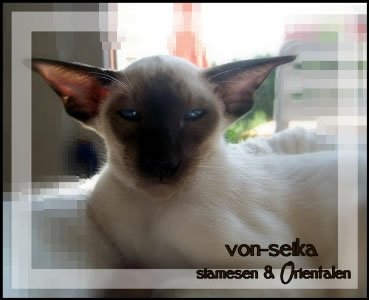 Von-Seika