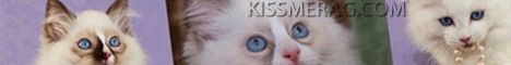 KISSME RAG