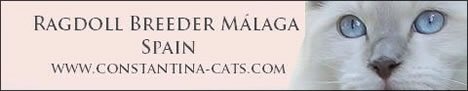 Constantina Cats