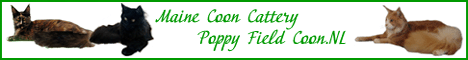 PoppyField Maine Coon