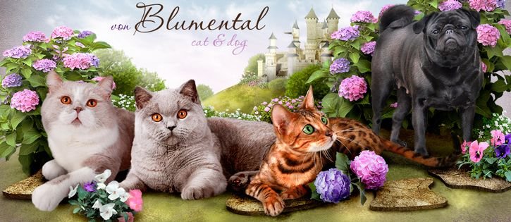 von Blumental