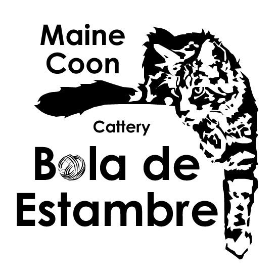 Bola De Estambre