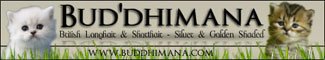 Bud'dhimana