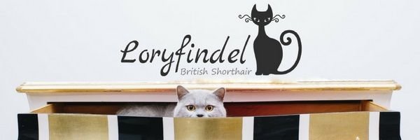 LORYFINDEL