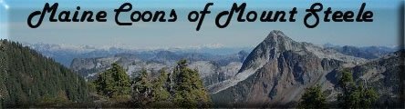 Mount Steele