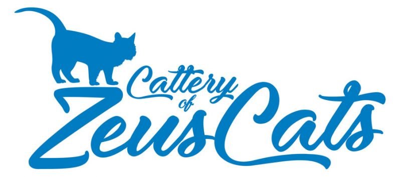ZeusCats