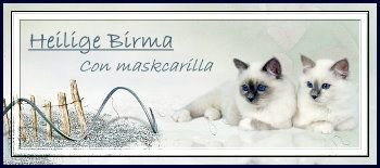 Con maskcarilla