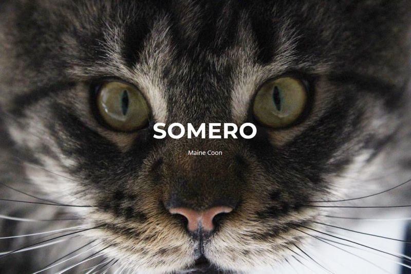 Somero