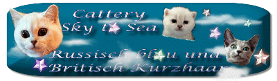 Cattery Sky to Sea