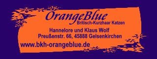 OrangeBlue