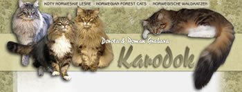 Karodok*PL