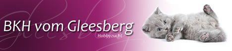 vom Gleesberg