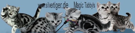 Magic Tabby's