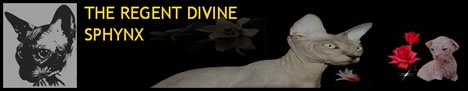 Divine Sphynx