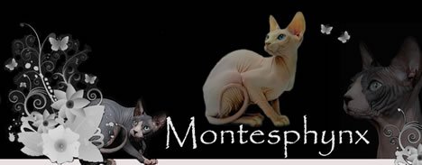 Montesphynx *ES