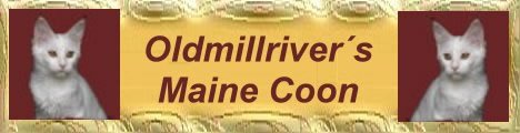 Oldmillriver