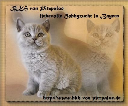 VON PITZPALUE