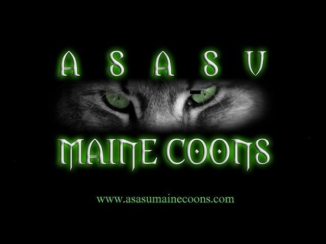 Asasu