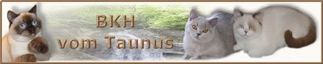 vom Taunus