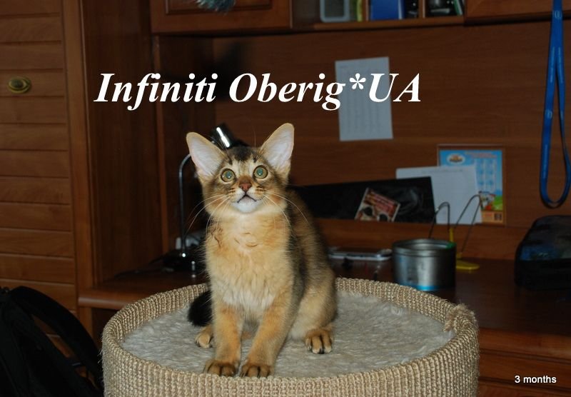Infiniti