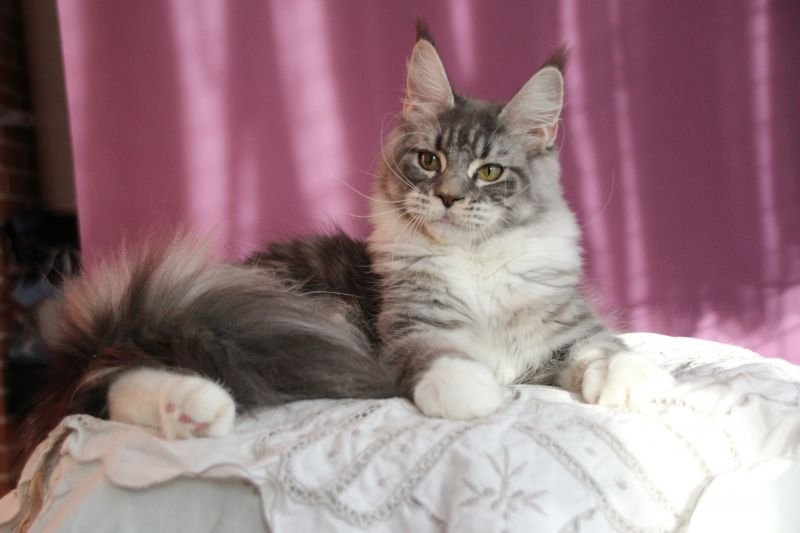 ESMERALDA